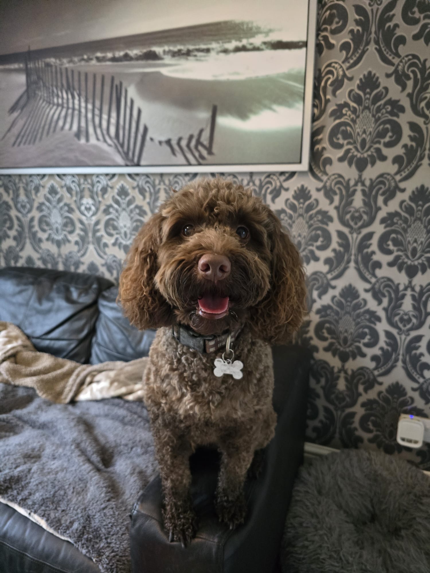 portfolio-06 whatsapp-image-2026-04-04-at-143054-12