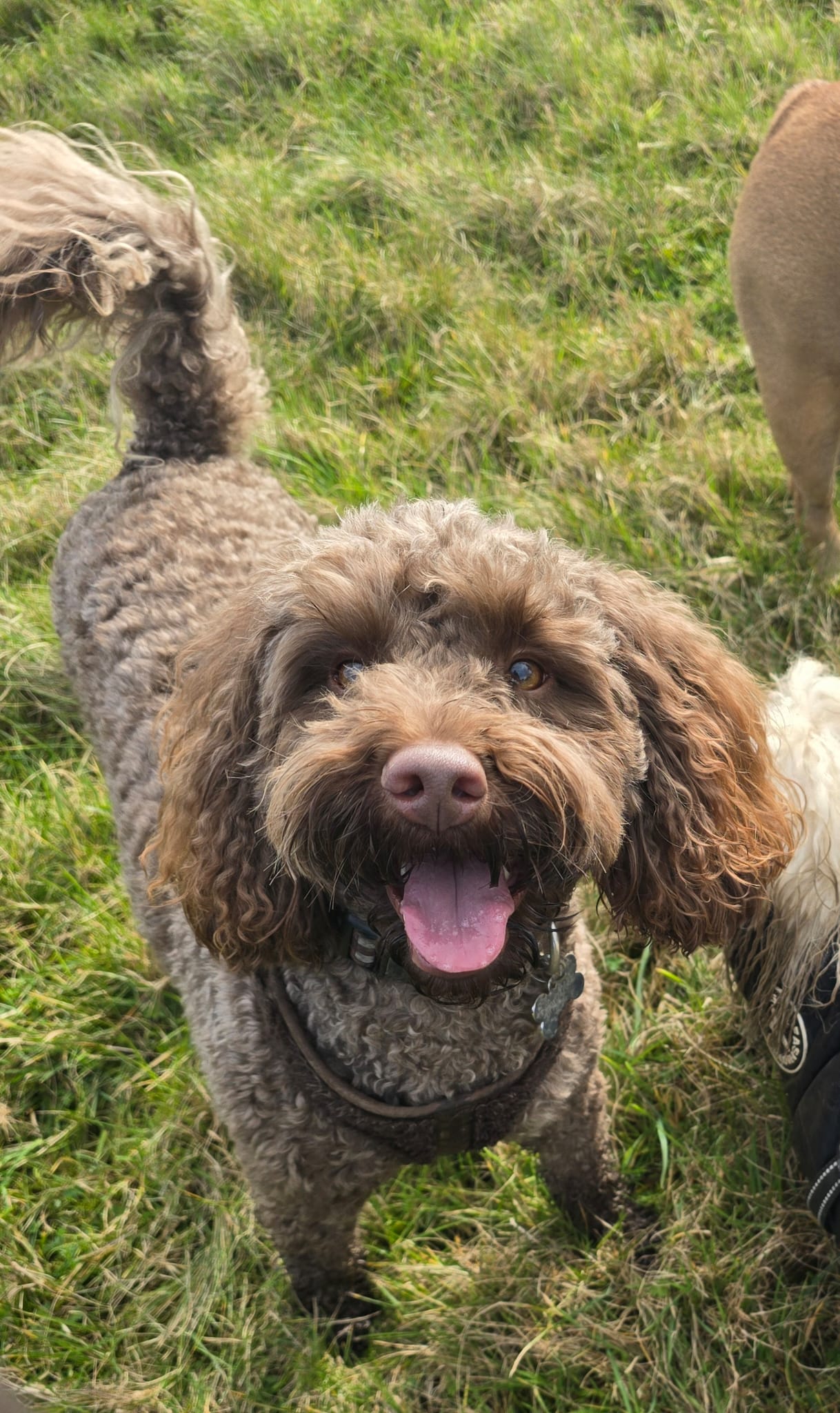 whatsapp-image-2026-04-04-at-143054-13