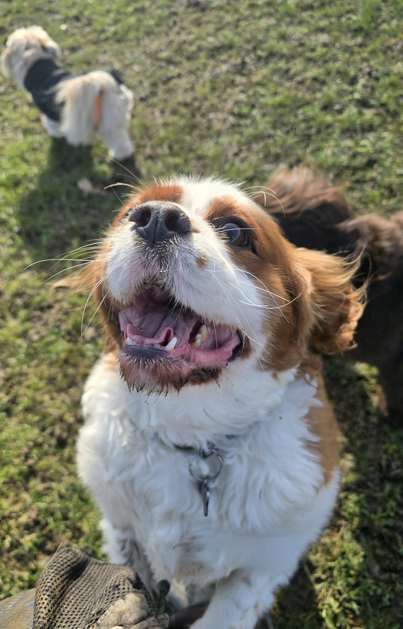 portfolio-03 whatsapp-image-2026-04-04-at-143055-11