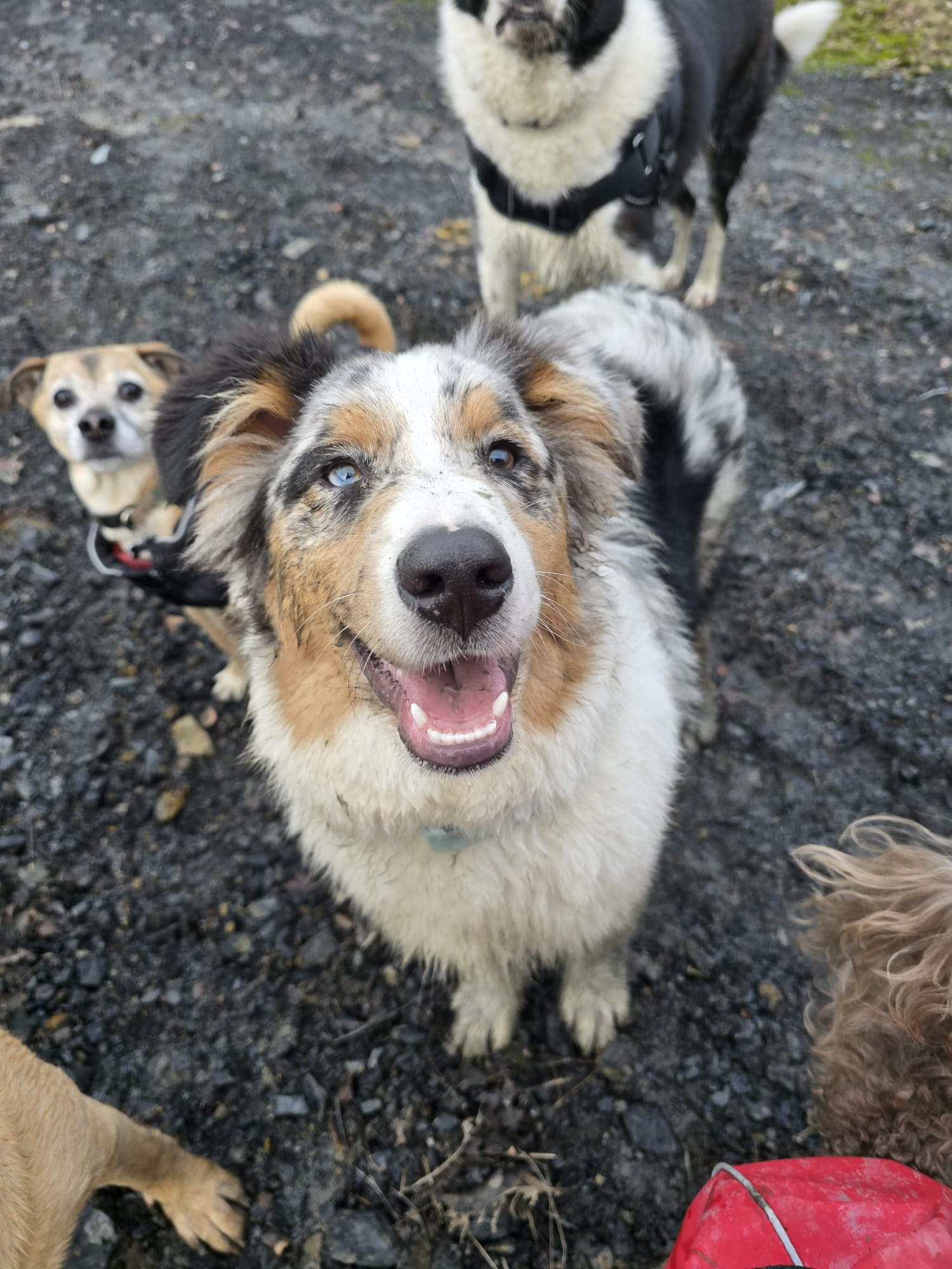 portfolio-04 whatsapp-image-2026-04-04-at-143055-2