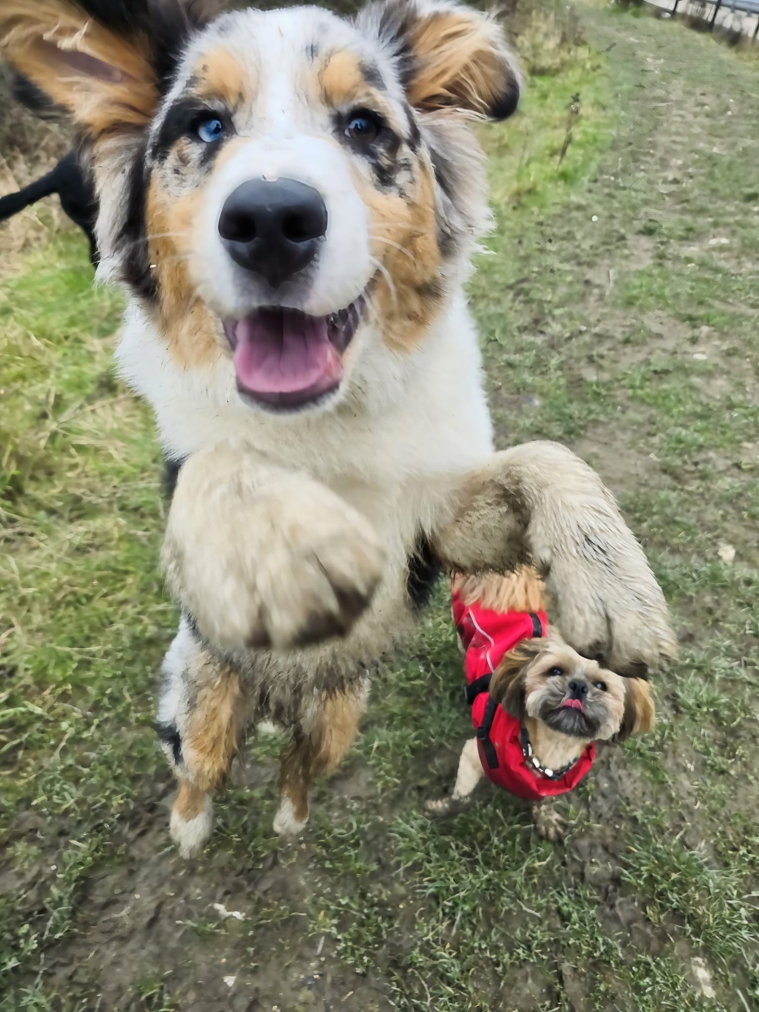 portfolio-01 whatsapp-image-2026-04-04-at-143055-3