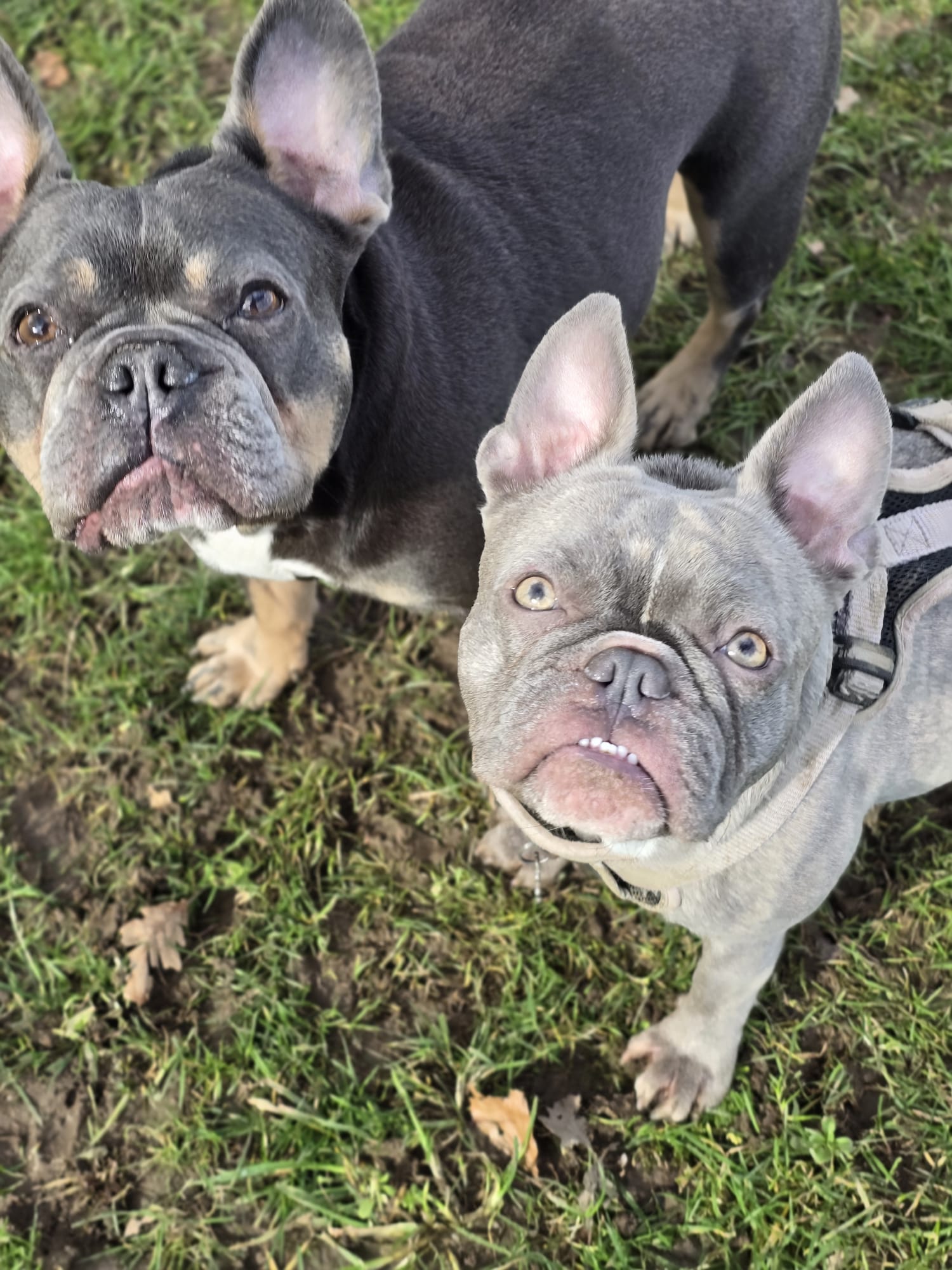 why-choose-us whatsapp-image-2026-04-04-at-143055-4