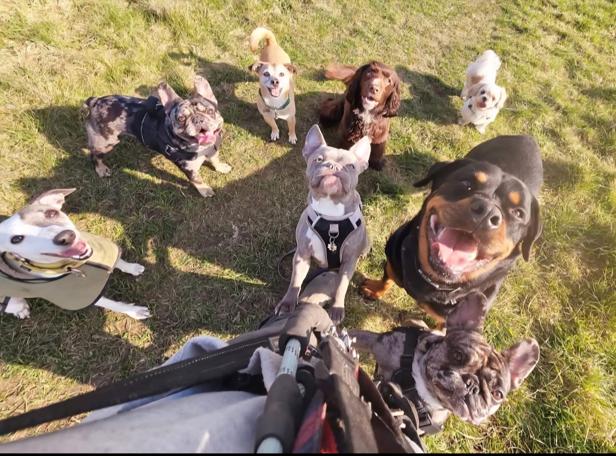 whatsapp-image-2026-04-04-at-143055-6