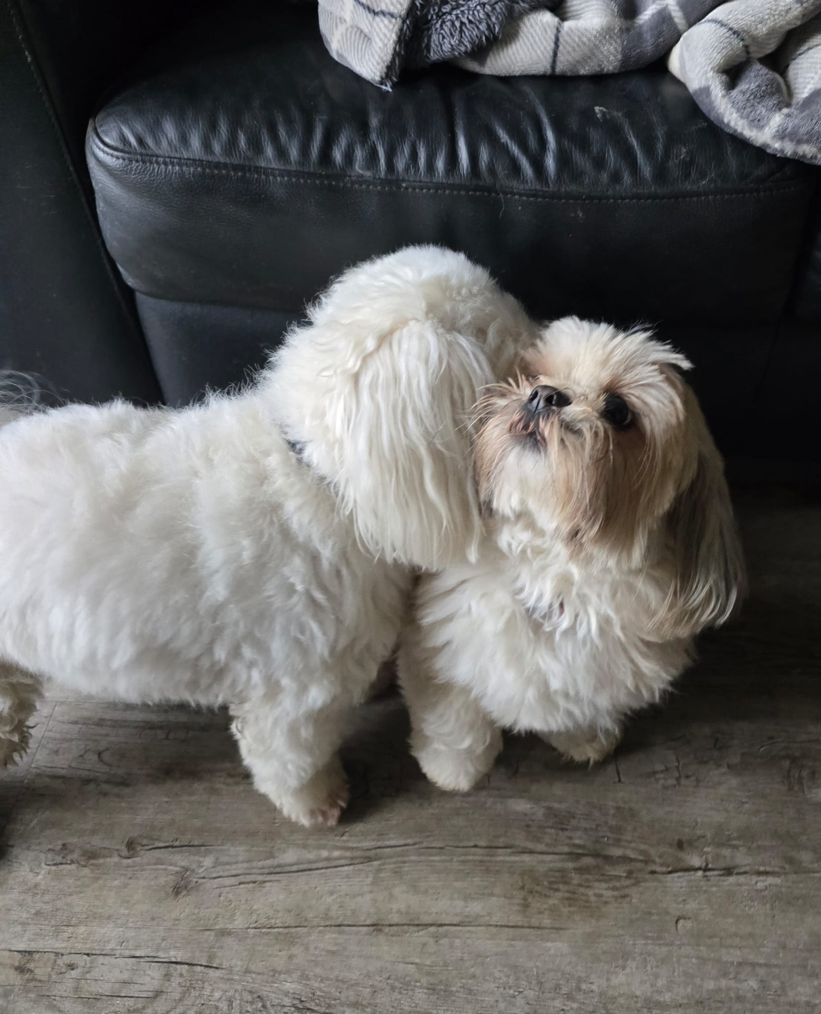 portfolio-05 whatsapp-image-2026-04-04-at-143055-8