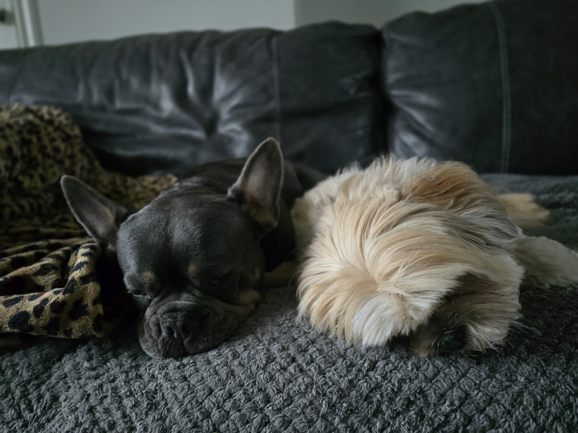 portfolio-02 whatsapp-image-2026-04-04-at-143055-9