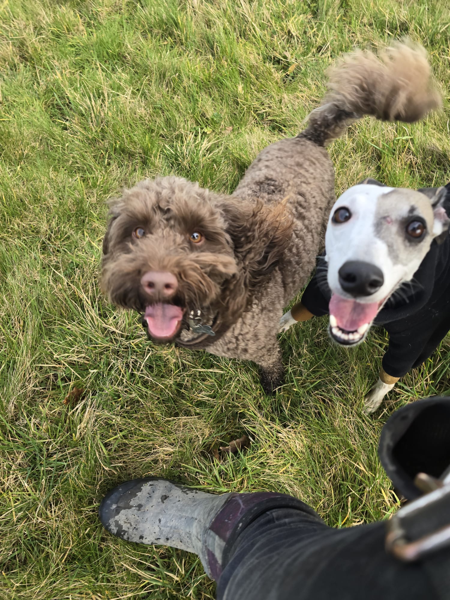 whatsapp-image-2026-04-04-at-143055